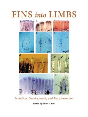 cover image of Fins into Limbs